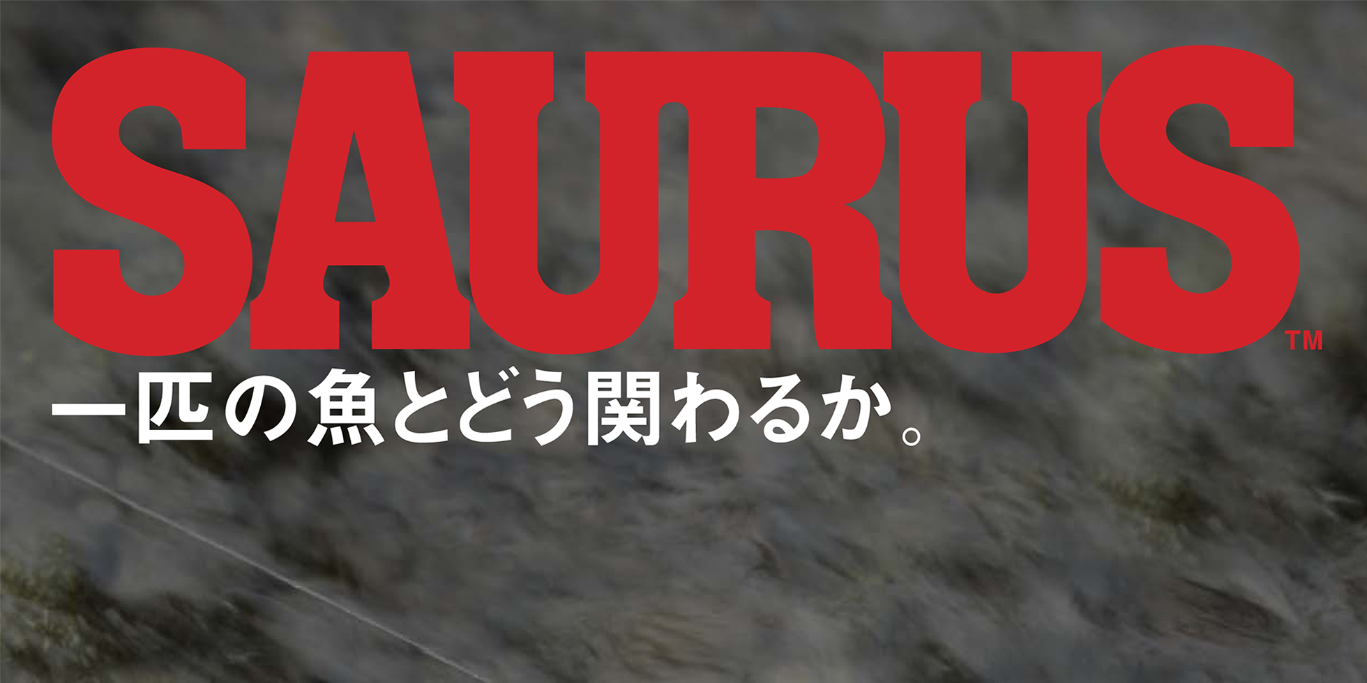 SAURUS Digital Catalog