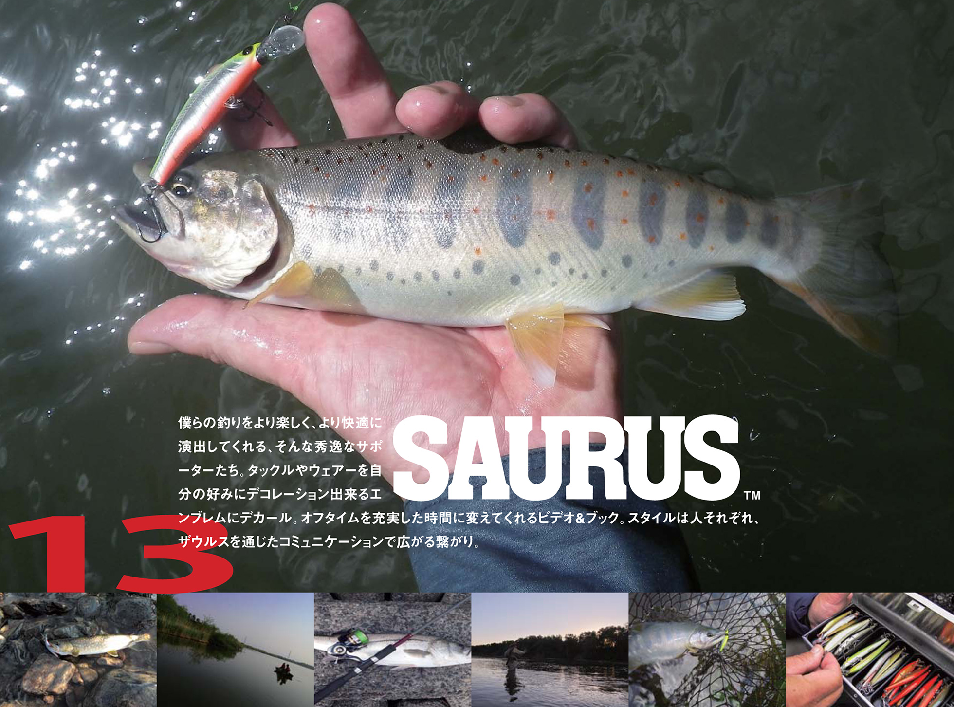SAURUS Digital Catalog