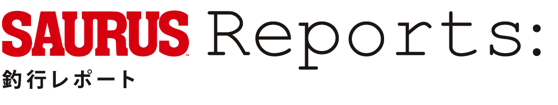 Reports Title Logo